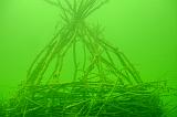 2009-08-02 10-25-56L